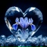 IceIris