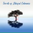 Calm Music Zone, Relaxation Music Guru