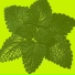 BYRN