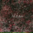 ALEA(s)