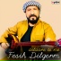 Fesîh Dilgerm