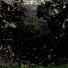 Cvrst3