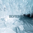 BLVKSHP