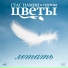 Стас Намин и Группа Цветы