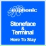 Stoneface & Terminal