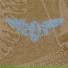 Rodan