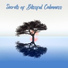 Calm Music Zone, Relaxation Music Guru