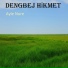 Dengbej Hikmet