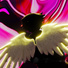 KKNIPPY