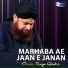Owais Raza Qadri