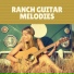 The Outlaw Guitar