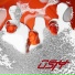 OSTY