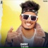Vishu Arik