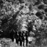 The Eagle Rock Gospel Singers
