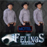 Trio Felinos de la Sierra