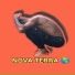 Wdy Levita