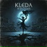 Kleda