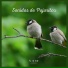 Sonidos De Pajaros