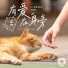 Leafy Zhang张叶蕾