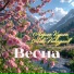 Марина Курина, Макс Показаньев