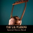 Special Decca Band