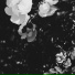 MirL