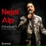Nejat Alp