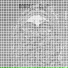 EV1L