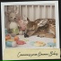Cat Music Therapy, Sleeping Music, Focus Chamber
