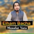 Elham Bacha