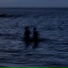 kodokunahoroshi, tripfeels