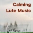 The Healing Project, Schola Camerata