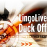 LingoLive