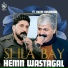 Hemn Wastagal feat. Kazm Bashmaxi