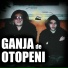 Dodo DPP