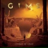 GIMS