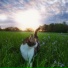 sunfade, sunw