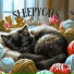Sleepycats
