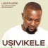 Lebo Radebe feat. Lindani Gumede, Senzo Khumalo