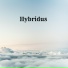 Hybridus