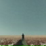 ENFAXIS