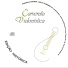Camerata Violonística