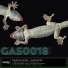 Feedthelizard