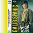 Galib Spahic