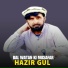 Hazir Gull