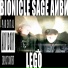 Bionicle Sage, Айви!
