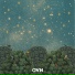 OVN