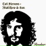 Cat Stevens
