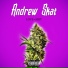 Andrew Skat