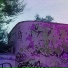 loonatic